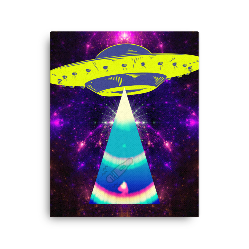 Abduct Vibes Canvas
