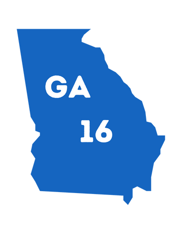 Radical Liberal Blue Georgia